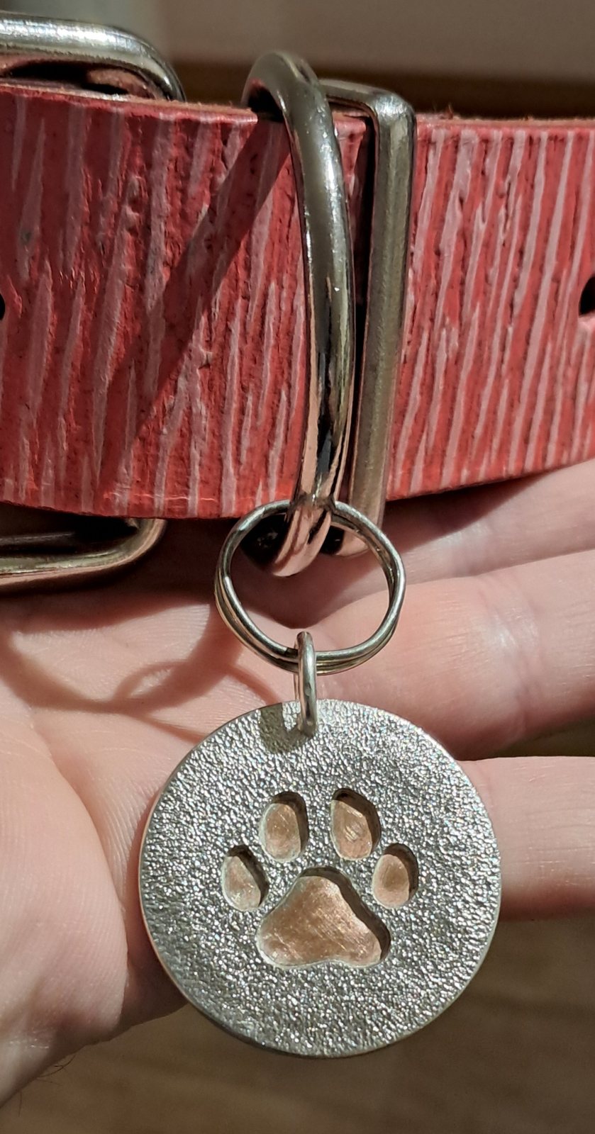 Medalla de plata con huella de mascota, colgando de un collar de cuero